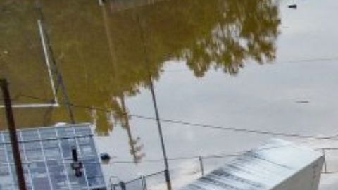 Joven salva a su perrito de morir tras inundaciones en Kentucky