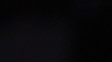 Juan Toscano-Anderson se unirá a la disciplina de los Lakers.