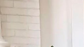 Kamala Harris sostiene reunión con AMLO en la Casa Blanca