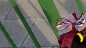 Mi hijo desertó; mi sobrino, se dio un tiro: el bullying preocupa a los migrantes en EU