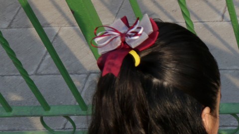 Mi hijo desertó; mi sobrino, se dio un tiro: el bullying preocupa a los migrantes en EU