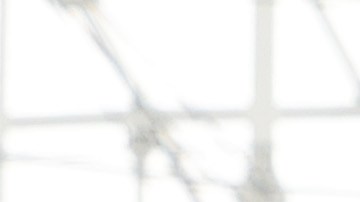 Las Vegas Raiders anunciaron este jueves la contratación de Sandra Douglass Morgan como su nueva presidenta.