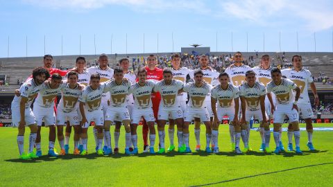 Los Pumas generan expectativas ante fichajes recientes.