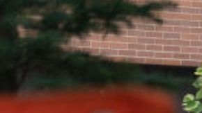 Mexicana sobreviviente del tiroteo en Highland Park narra el horror que enfrentó