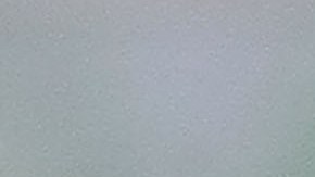 Mono ataca a niña quien ahora lucha por su vida, luego de escaparse del zoológico de un millonario