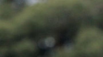 Mujer de Connecticut que mató a sus tres hijos dejó una nota para su esposo