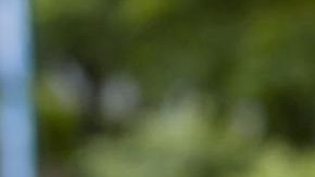 Andrea originaria de Nuevo León murió en el hospital por las heridas que se provocó.