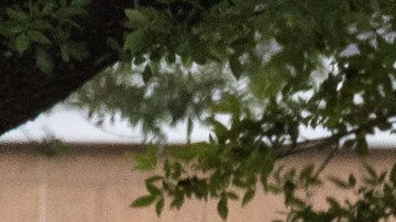 Nuevo video muestra a Salvador Ramos deambulando por los pasillos de la escuela de Uvalde y a los policías huyendo de los disparos