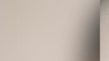 Perros Pittbull Texas Ataque