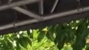 Obispo Ramón Castro