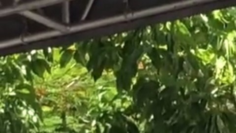 Obispo Ramón Castro