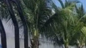 Operativo de la Marina