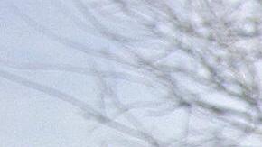 Para obtener sus títulos, los estudiantes de medicina de México practican “a punta de pistola” en pueblos remotos dominados por los cárteles