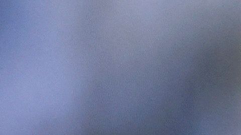 Pedro Aquino asegura que el América tiene plantilla suficiente para salir campeón en España.