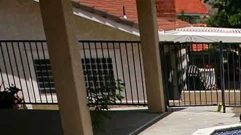 Un bicho en la piscina provoca extraña enfermedad