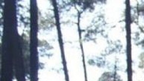 Policía de la Ciudad de México