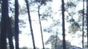 Policía de la Ciudad de México