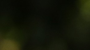 Primer ministro Wickremesinghe juró como presidente interino de Sri Lanka, mientras Parlamento define al sucesor de Rajapaksa