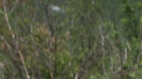 Rusia perdió hasta la mitad de sus soldados para apoderarse de Luhansk, lo que podría limitar cualquier nueva ofensiva