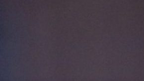 Shakira bate la pechonalidad y celebra 12 años de su éxito "She Wolf"