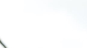 Shaquille O’Neal recientemente ayudó a una pareja al azar a ahorrar algo de dinero en algunos electrodomésticos caros en Best Buy.