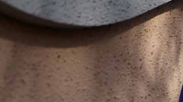 Taco Bell se enfrenta a una demanda por un millón de dólares