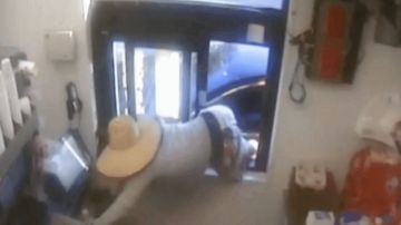 VIDEO: Hombre con sombrero de paja en Florida trepa por la ventanilla “drive-thru” de un Wendy’s y roba la caja registradora