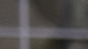 VIDEO Niño de unos cuatro años golpeó e insultó a policías de Minnesota