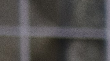 VIDEO Niño de unos cuatro años golpeó e insultó a policías de Minnesota