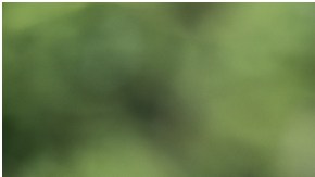 Los viajes no se han visto afectados ante el aumento de la gasolina, según Autopacific.