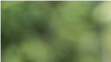 Los viajes no se han visto afectados ante el aumento de la gasolina, según Autopacific.