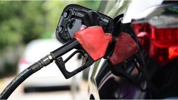 Los viajes no se han visto afectados ante el aumento de la gasolina, según Autopacific.