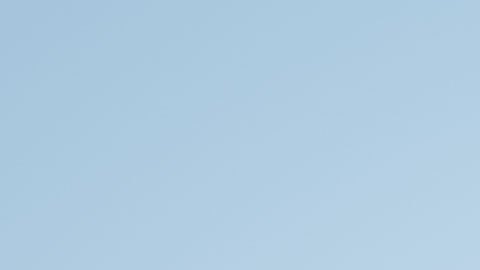 Windows 11 logo