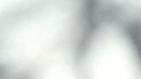 Xavi Hernández no pudo sumarse a la pretemporada del Barca en Estados Unidos por problemas con el visado.