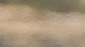 Yailin La Más Viral y Anuel AA en Ibiza.