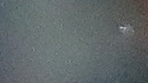 Yeferson Soteldo en problemas y será sancionado por ausentarse del entrenamiento de Tigres .