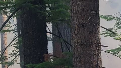 El incendio Washburn está ardiendo cerca de la parte inferior de Mariposa Grove.