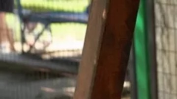 Vasyl fue enviado a una institución cuando tenía cinco años