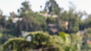 El letrero de un aviso de alquiler que se ve en una calle arbolada.