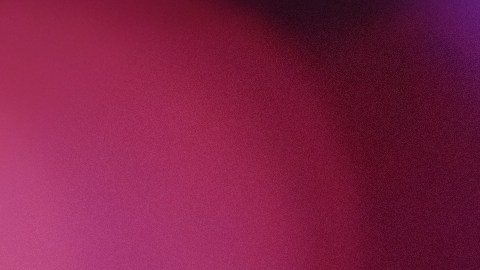 Pareja encuentra el amor.