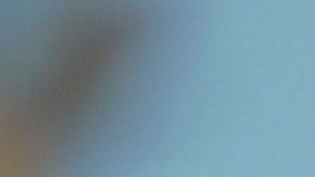 La vida de Amy Winehouse será contada en una nueva película.