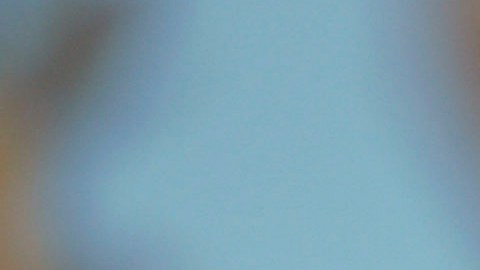 La vida de Amy Winehouse será contada en una nueva película.