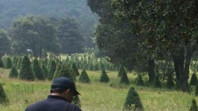 búsqueda de cuerpos