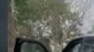 La camioneta fue robada en San Antonio,