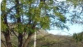 cartel de Sinaloa dinero en efectivo (1)