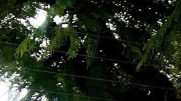 Influencer transforma su casa en una auténtica mansión Barbie... ¡y hasta su piscina es rosa!