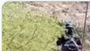 CJNG San Luis Potosí cártel del Golfo