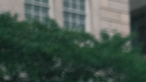 Cientos protestan frente a la Casa Blanca por la sentencia del aborto en EEUU