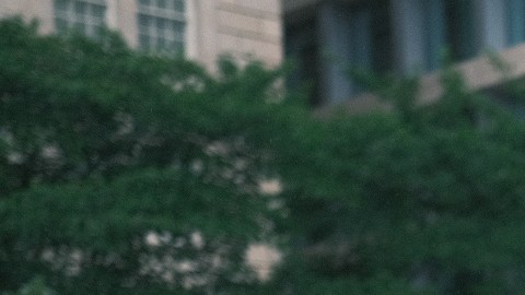 Cientos protestan frente a la Casa Blanca por la sentencia del aborto en EEUU