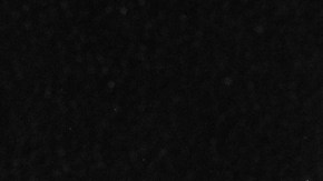 Foto de David Warner de 1964 caracterizado como King Henry VI para la obra 'The Wars of the Roses'.